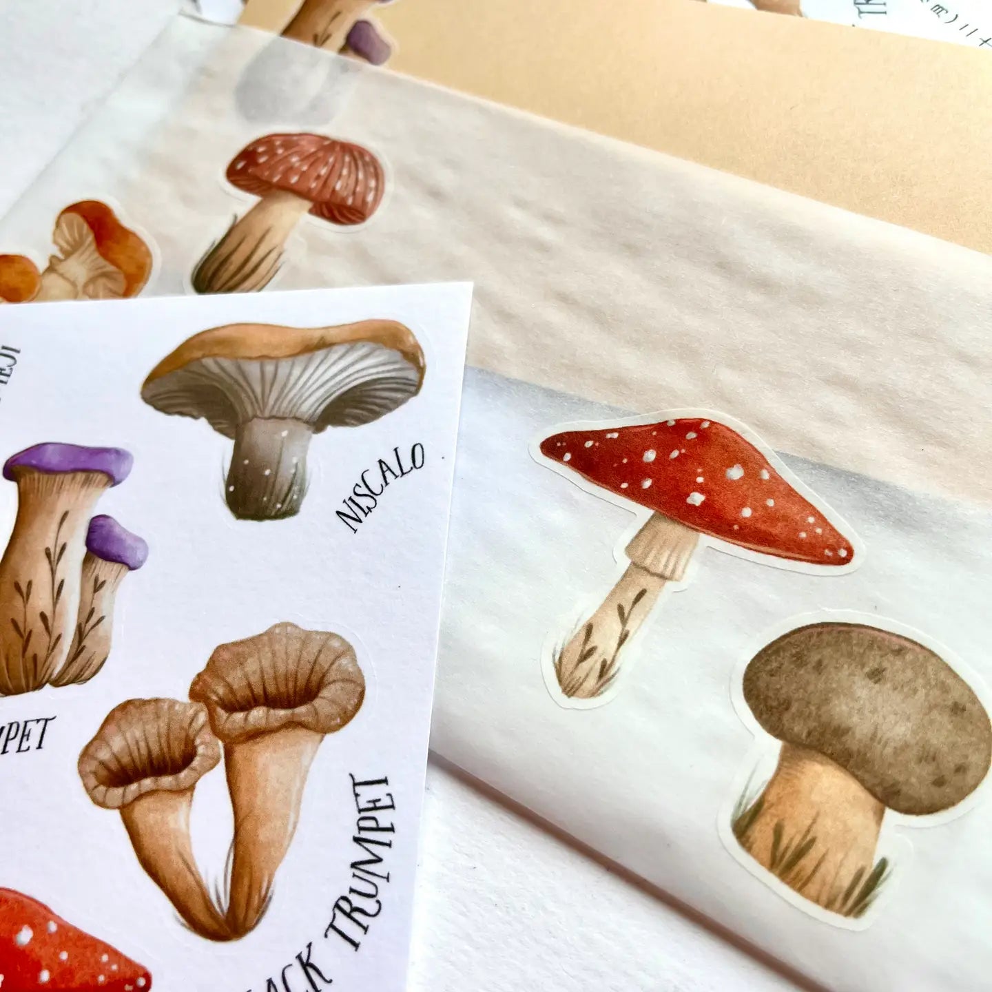 Tarra-arkki Mushrooms | Nikki Dotti