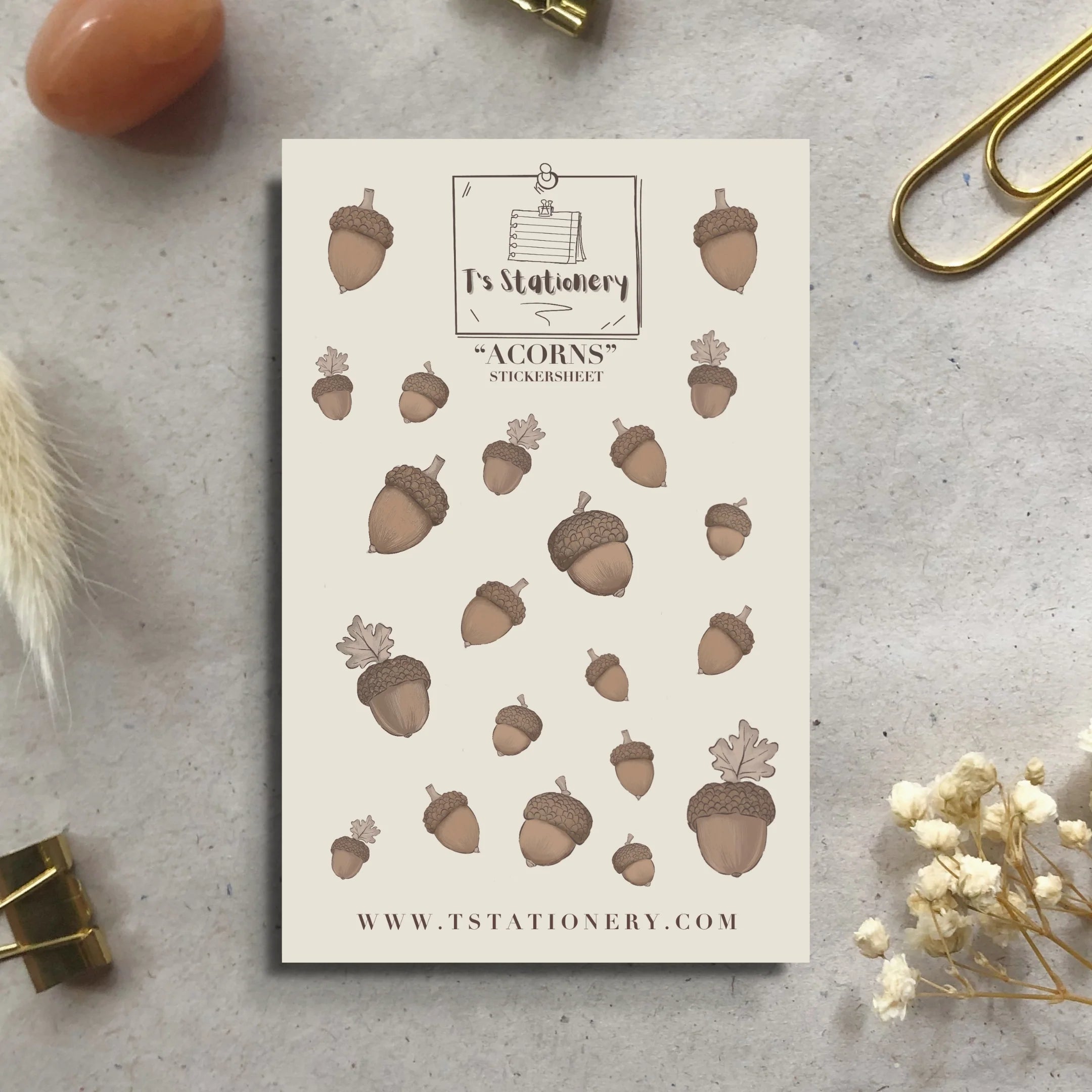 Tarra-arkki Acorns - Tammenterhot | T’s Stationery