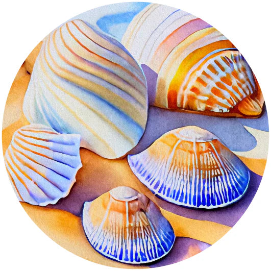 Tarrasetti Sea shells 5 pyöreää tarraa | Fripperies