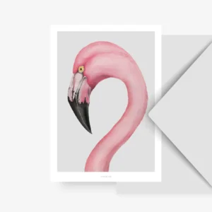 Postikortti Flamingo